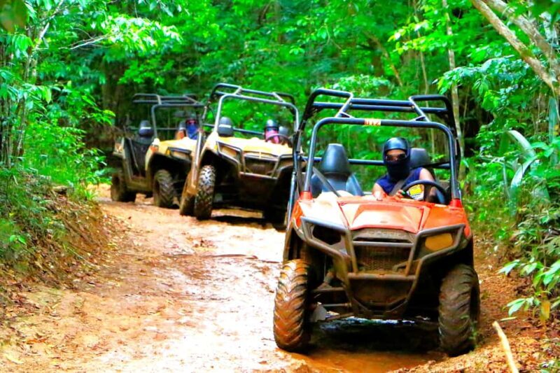 Kingston: Tropical Off-Road ATV Tour with Lunch and Transfer - Good To Know
