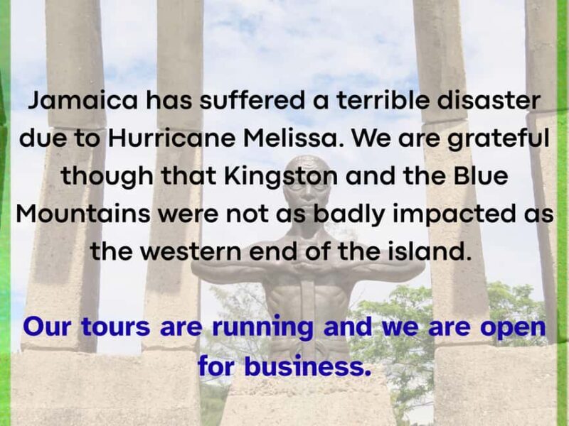 Kingston: Walking Tour with Mural Exploration - Introduction