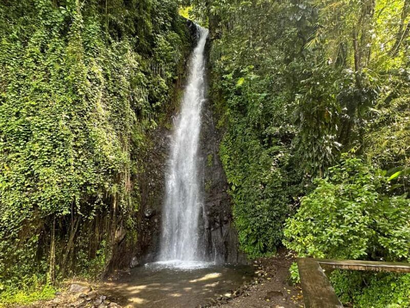 Kingstown: Cascading Dark View Falls and Beach Tour - Real Traveler Insights and Tips