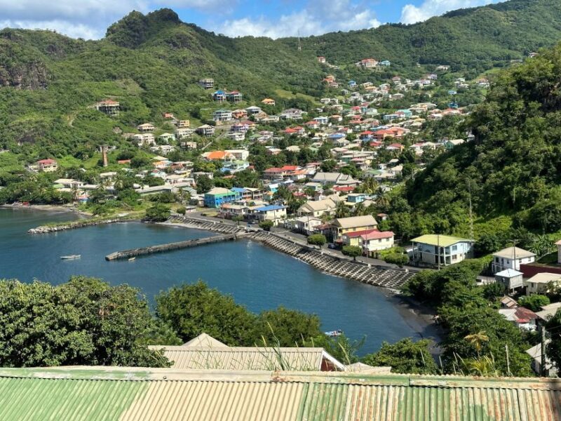 Kingstown: Cascading Dark View Falls and Beach Tour - Final Thoughts: Who Will Love This Tour?