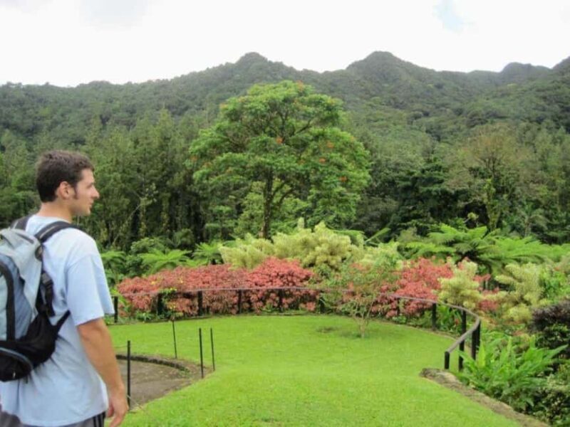 Kingstown: Montreal Gardens and Belmont Lookout Tour - Exploring the Scenic Highlights of Saint Vincent