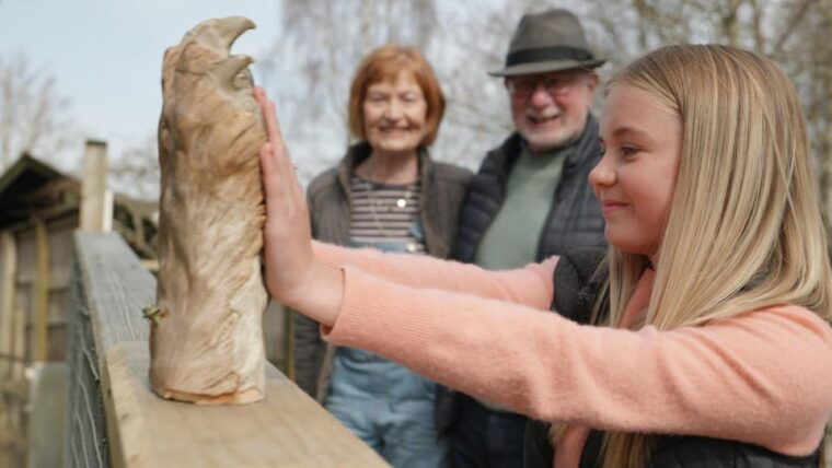 Kingussie: Highland Wildlife Park Entry Ticket - The Sum Up: Who Will Love Highland Wildlife Park?