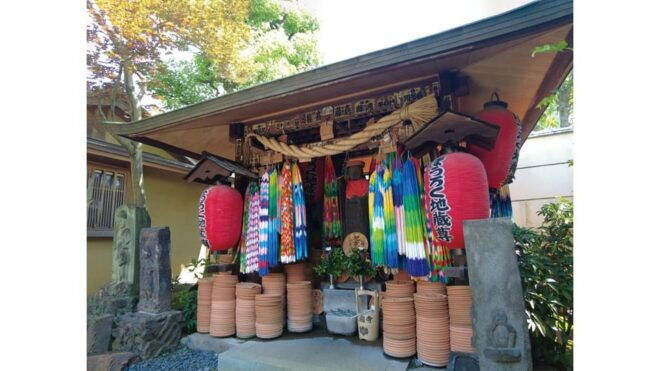 Kinoshita-Kabuki Sannin Kichisai Shuttle Tour - Performance Information