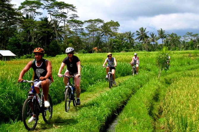 Kintamani Bike Tour - Itinerary Details