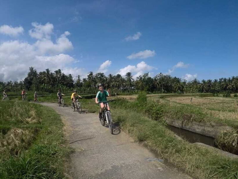 Kintamani Culture and Nature Guided Cycling Tour - The Value of the Experience