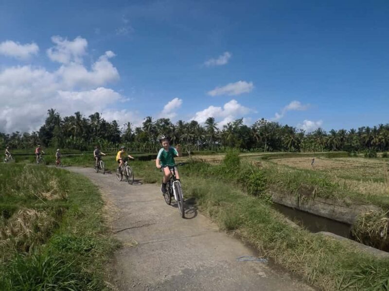 Kintamani Culture and Nature Guided Cycling Tour - What to Expect from the Kintamani Cycling Tour