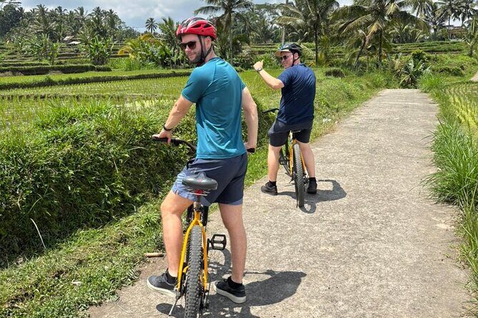 Kintamani Down Hill Cycling - An In-Depth Look at the Experience