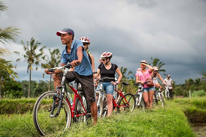 Kintamani Downhill Cycling and Ubud Private Trip With Lunch (Feb ) - Booking Information