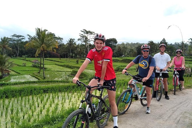 Kintamani Guided Mountain Bike Tour With Lunch From Ubud (Feb ) - Inclusions and Exclusions