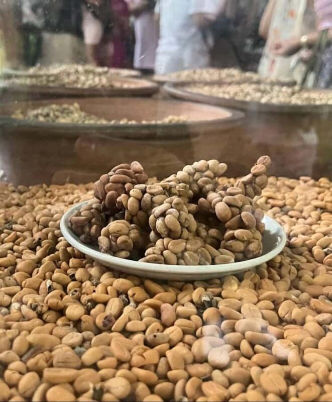 Kintamani: Jeep Tour & River Tubing with coffee plantation - Frequently Asked Questions