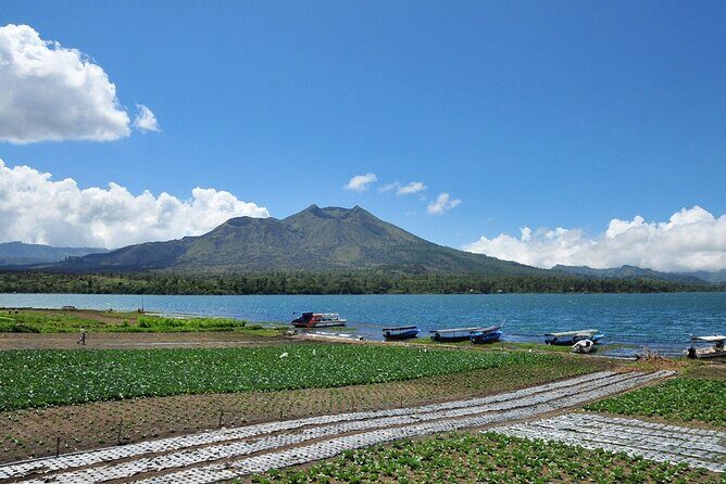 Kintamani Lake & Volcano Full-Day Tour - The Downsides and Considerations