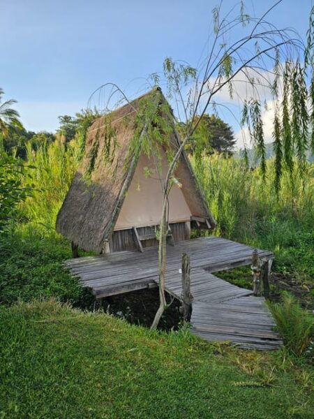 Kintamani Multi-Adventure Tour - Amenities and Inclusions