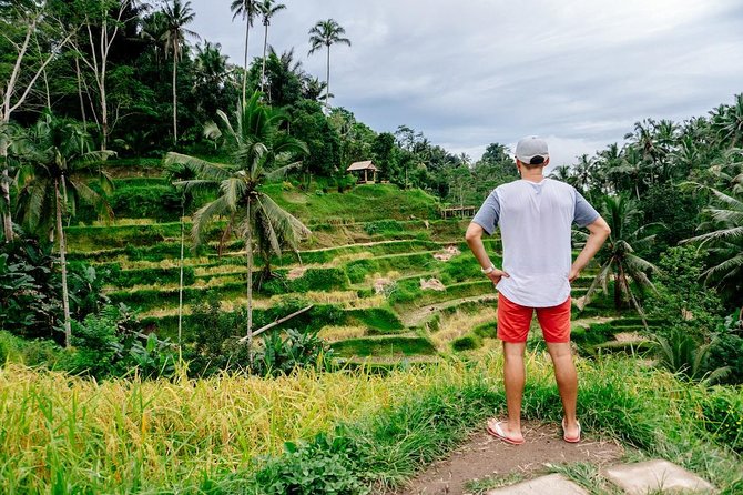 Kintamani Private Tour:Tegalalang Rice Terraces, Goa Gajah Temple - Inclusions