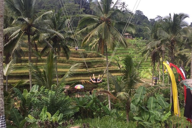 Kintamani Private Tour:Tegalalang Rice Terraces, Goa Gajah Temple - Logistics