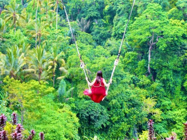 Kintamani: Tirta Empul, Tegallalang / 1 Day Private Tour - Cancellation Policy