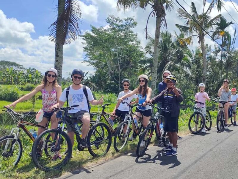 Kintamani to Ubud Downhill Cycling Tour - Analyzing the Value