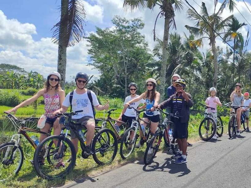 Kintamani to Ubud Downhill Cycling Tour - Who Would Love This Tour?