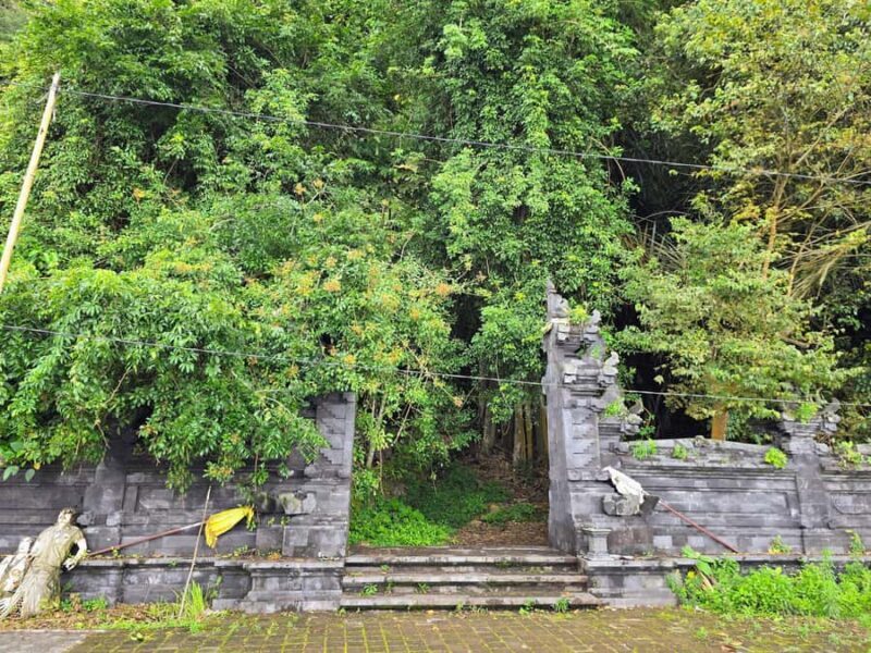 Kintamani: Trunyan Village Cemetery Tour - What Travelers Love Most
