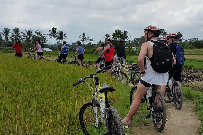 Kintamani Volcano and Ubud Cycling and Biking Trail Through the Essence of Bali - Cycling Trail in Ubud