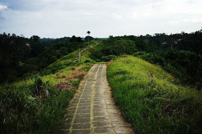 Kintamani Volcano View Tour - Tirta Empul Temple: Witnessing a Sacred Cleansing Ritual