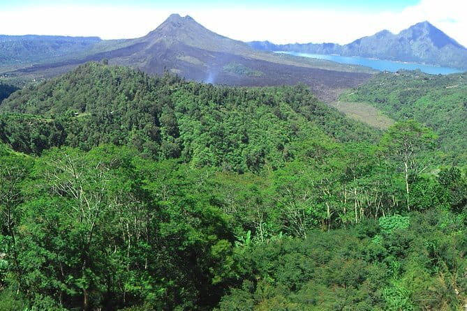 Kintamani Volcano View Tour - Who Should Consider This Tour?