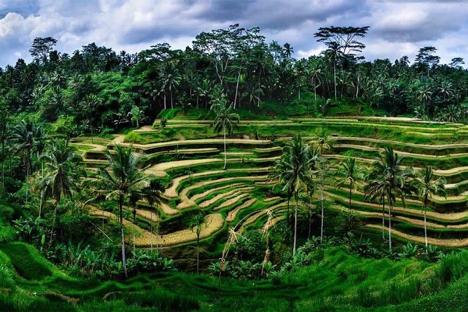 Kintamani Vulcano Tour - Pricing and Group Discounts