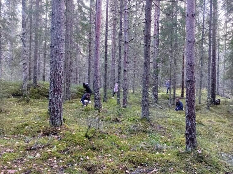 Kintulammi Nature Experience (Nature reserve near Tampere) - Who Would Enjoy This Experience?