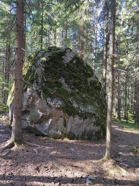 Kintulammi Nature Experience - Guided Nature Hike