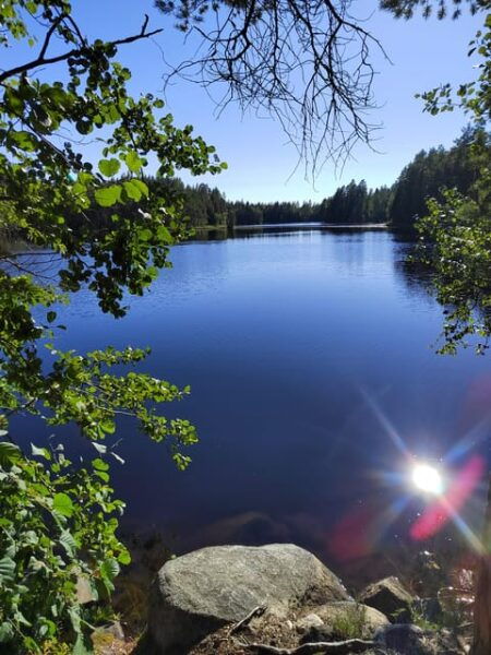 Kintulammi Nature Experience - Inclusions for Participants