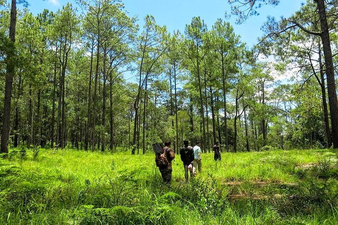 Kirirom National Park Private Day Tour From Phnom Penh - Good To Know