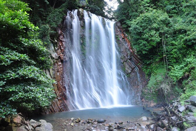 Kirishima Highlights from Kagoshima Port by Private Car - Authenticity and Experience