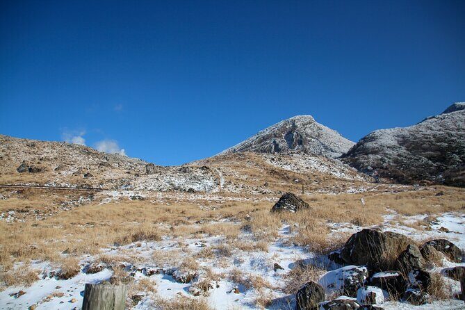 Kirishima Highlights from Kagoshima Port by Private Car - The Sum Up