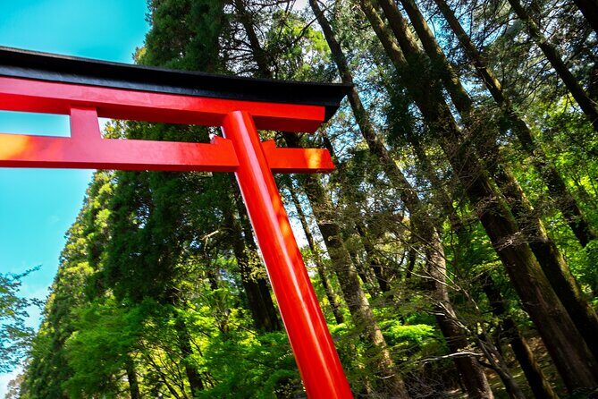 Kirishima Highlights from Kagoshima Port by Private Car - Good To Know