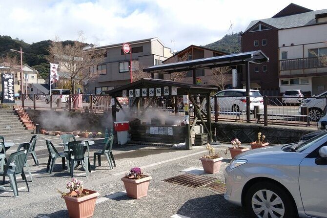 Kirishima Highlights from Kagoshima Port by Private Car - Deep Dive into the Tour Experience