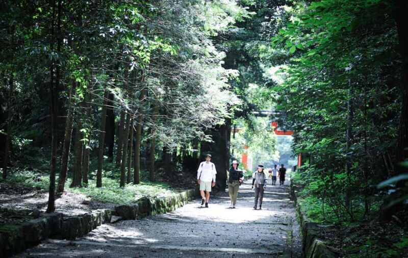 Kirishima: Shrine Ritual, Hike, & Bento Lunch - Who Is This Tour Best For?