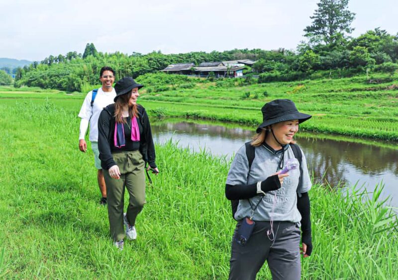 Kirishima: Shrine Ritual, Hike, & Bento Lunch - The Sum Up