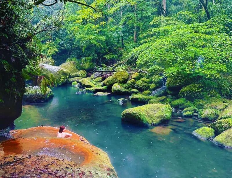 Kirishima: Wild Hot Spring in Bamboo Forest - The Hot Spring Experience
