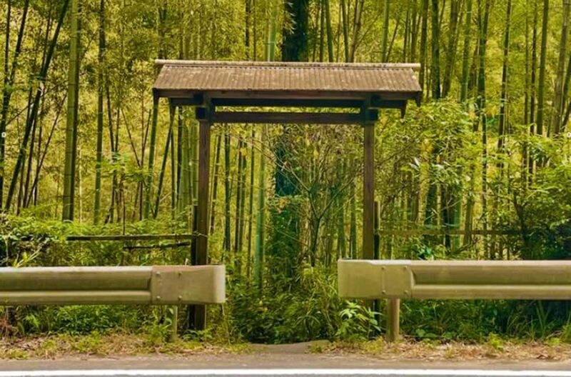 Kirishima: Wild Hot Spring in Bamboo Forest - Logistics & Accessibility