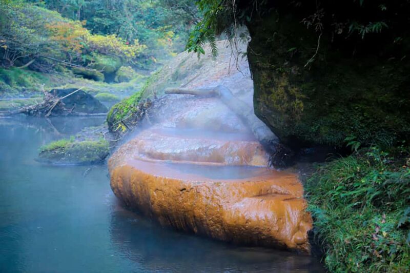 Kirishima: Wild Hot Spring in Bamboo Forest - The Itinerary in Detail