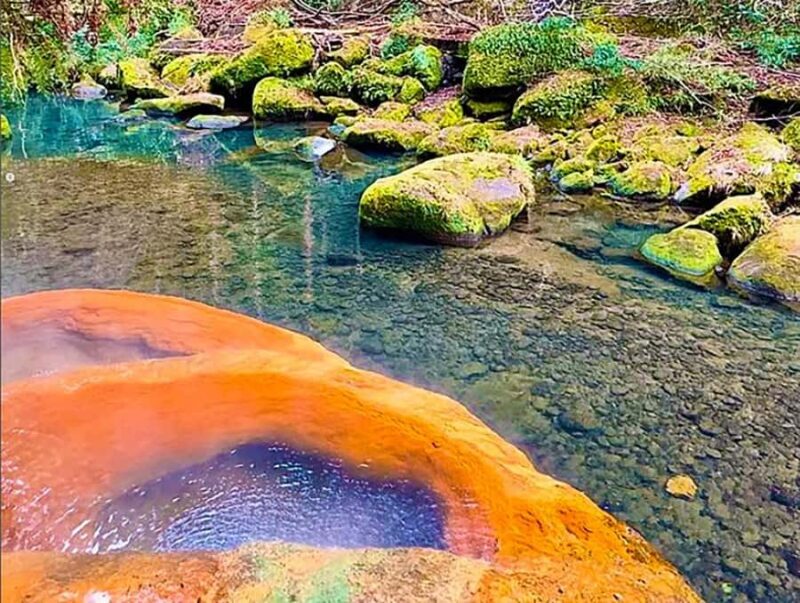 Kirishima: Wild Hot Spring in Bamboo Forest - The Sum Up