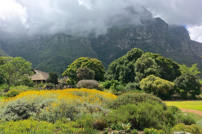Kirstenbosch and Table Mountain Tour - Itinerary Highlights