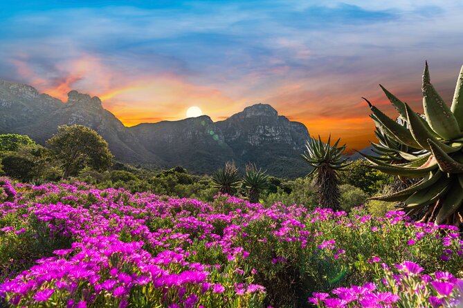 Kirstenbosch Botanical Gardens and Cape Winelands Tour. - Itinerary