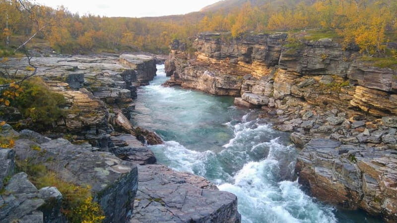 Kiruna: Abisko National Park Guided Day Tour with Lunch - Why This Tour Offers Great Value