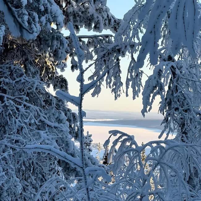 Kiruna: Daytime Snowshoe Hike - Who Should Book This Experience?
