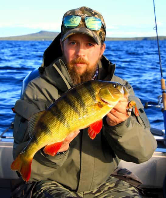 Kiruna: Lapland Fishing Tour with Guide and Gear - Good To Know