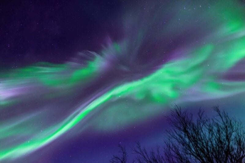 Kiruna: Northern Lights Minivan Chase with Warm Drink - What to Expect on the Tour