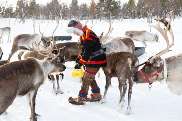 KIRUNA: Reindeer Sled Ride in the Countryside - Essential Preparation