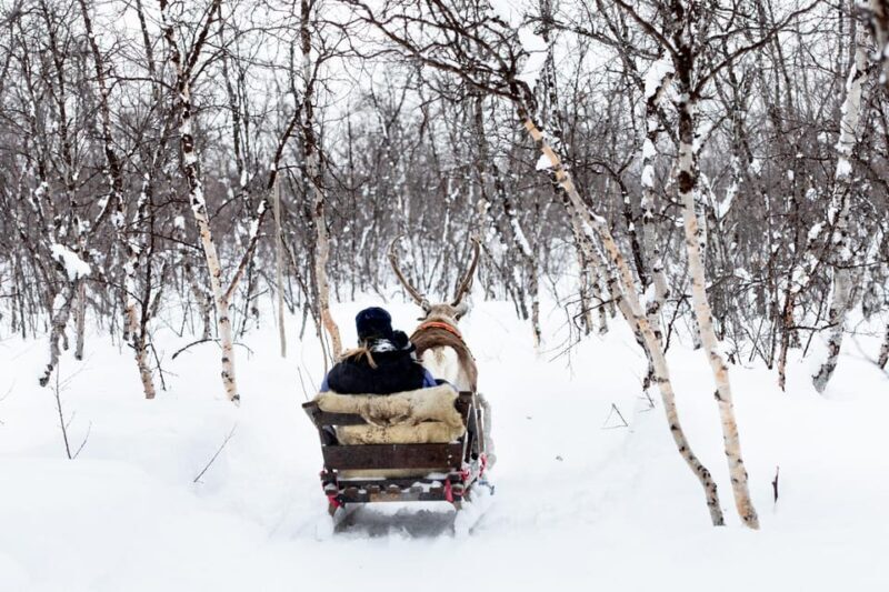 KIRUNA: Reindeer Sled Ride in the Countryside - Final Thoughts