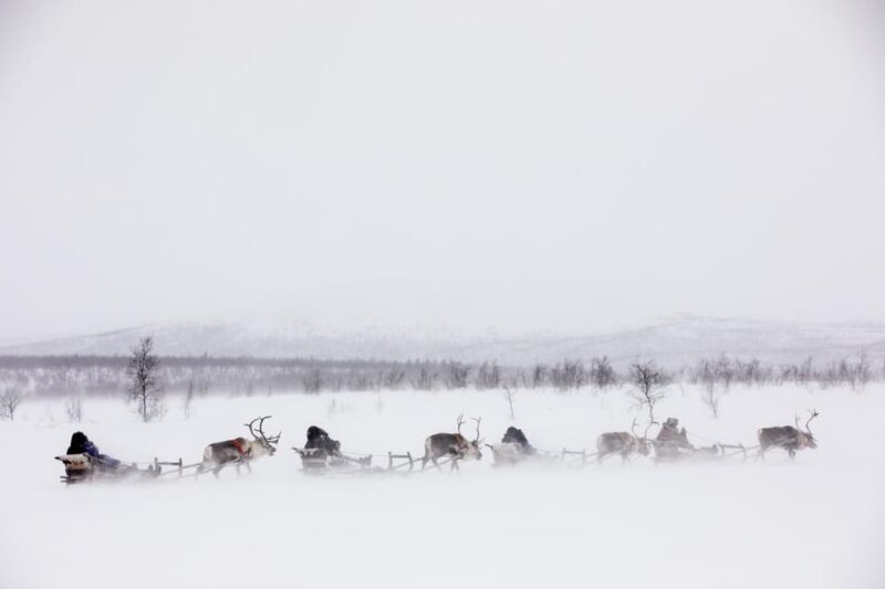 KIRUNA: Reindeer Sled Ride in the Countryside - Final Recommendations