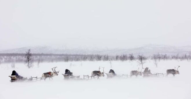 KIRUNA: Reindeer Sled Ride in the Countryside - Highlights of the Activity